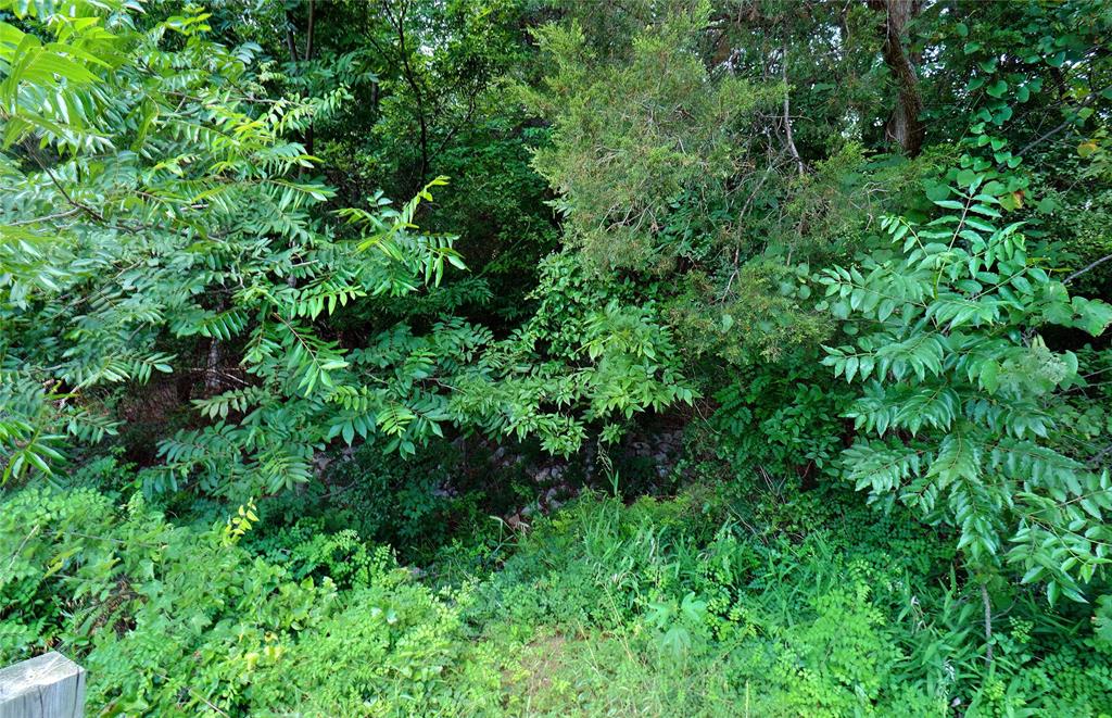 2201 Shady Oaks Drive Property Photo 12
