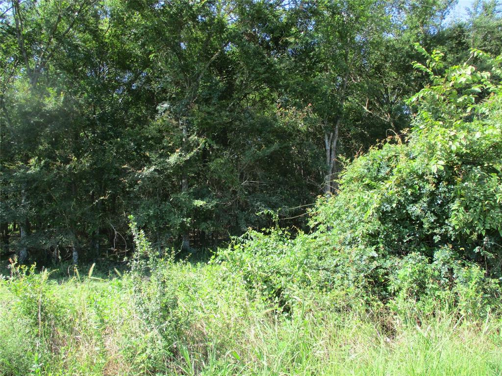 Tbd Rs County Road 3220 Property Photo 1