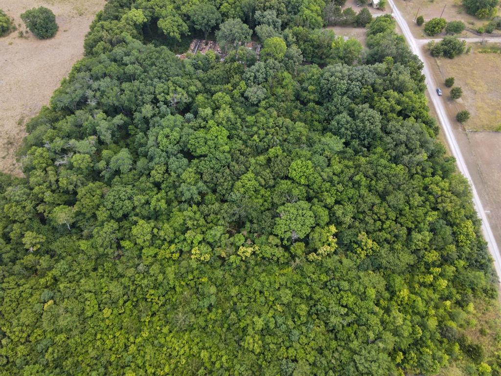 Tbd County Rd 4506 Property Photo 3