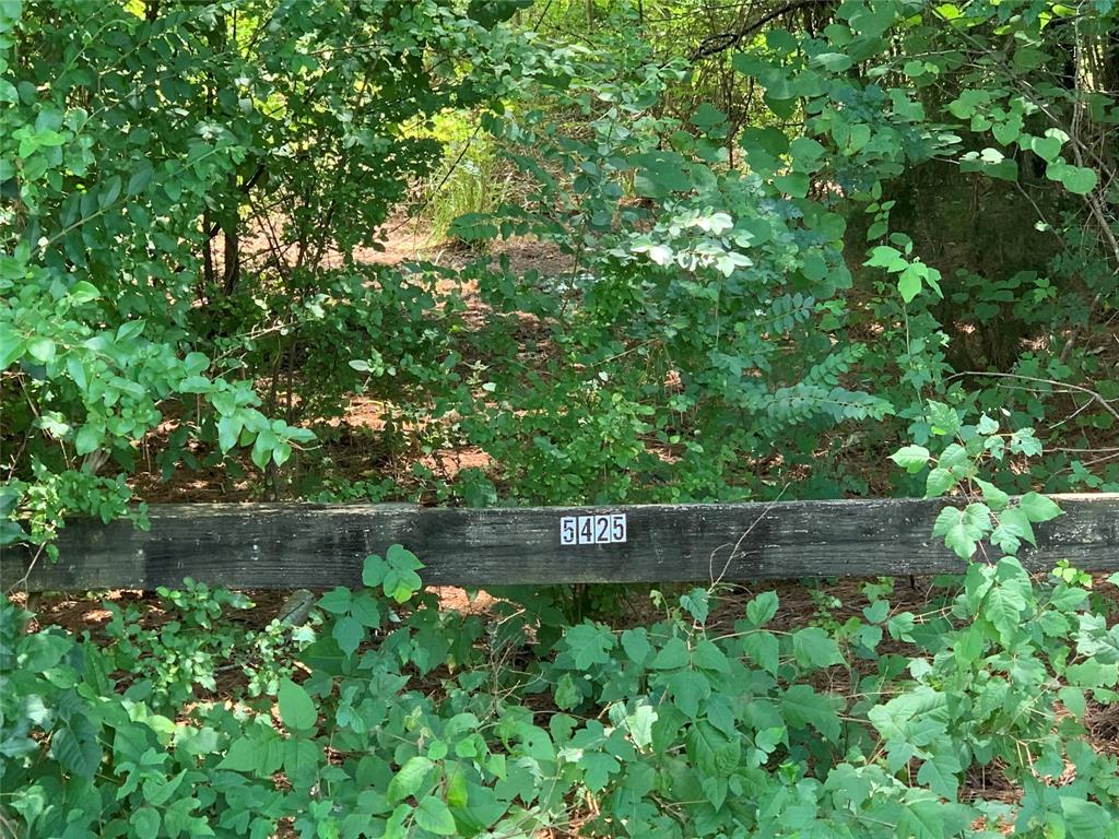5425 Hwy 1 Property Photo 4
