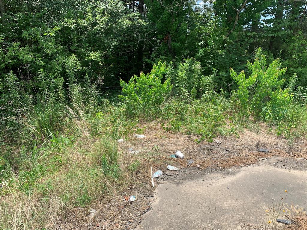 5425 Hwy 1 Property Photo 5