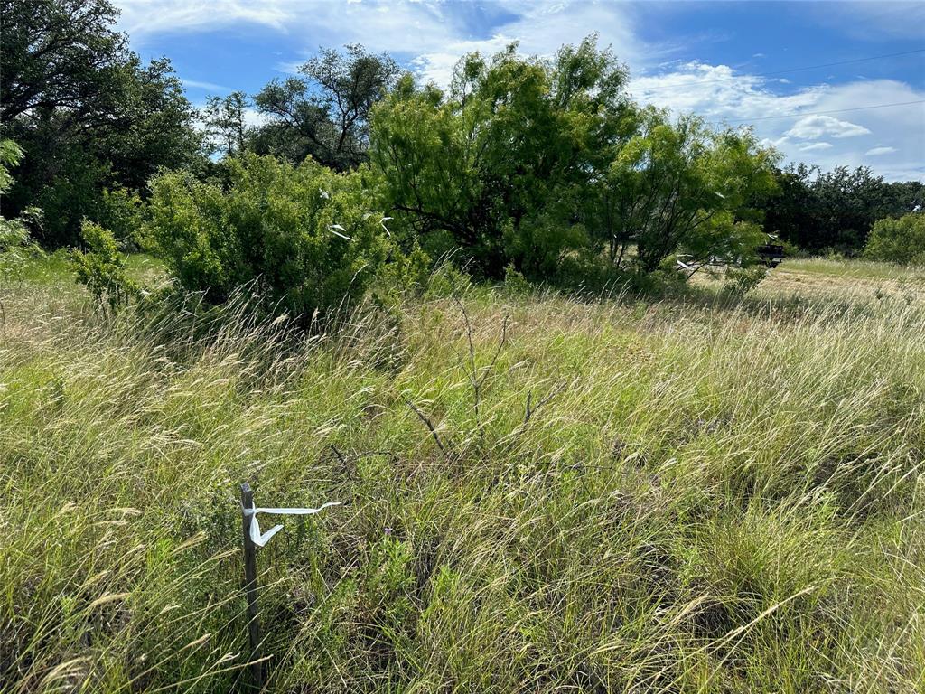 863 Pitchpole Circle Property Photo 5