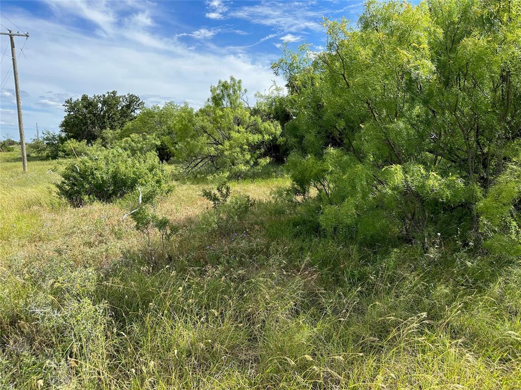 863 Pitchpole Circle Property Photo 6