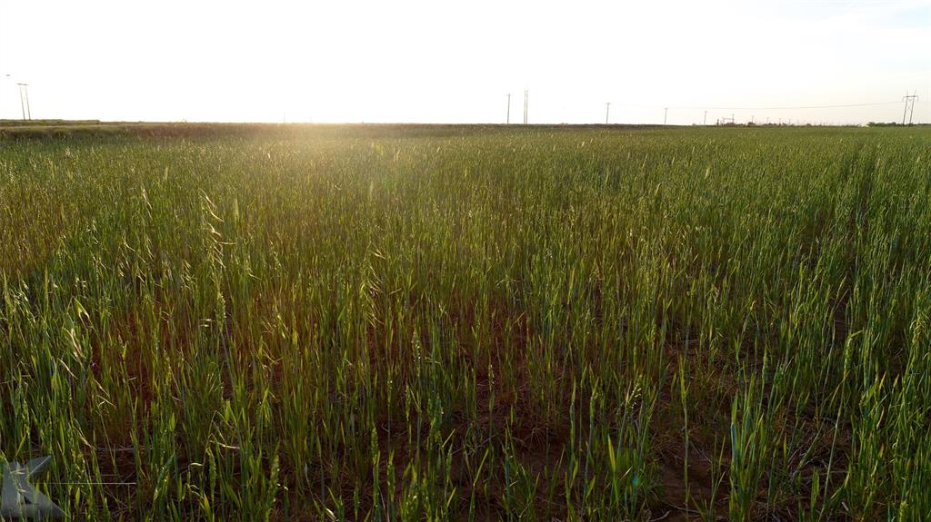 Tbd Lot A Us 277 Property Photo 33