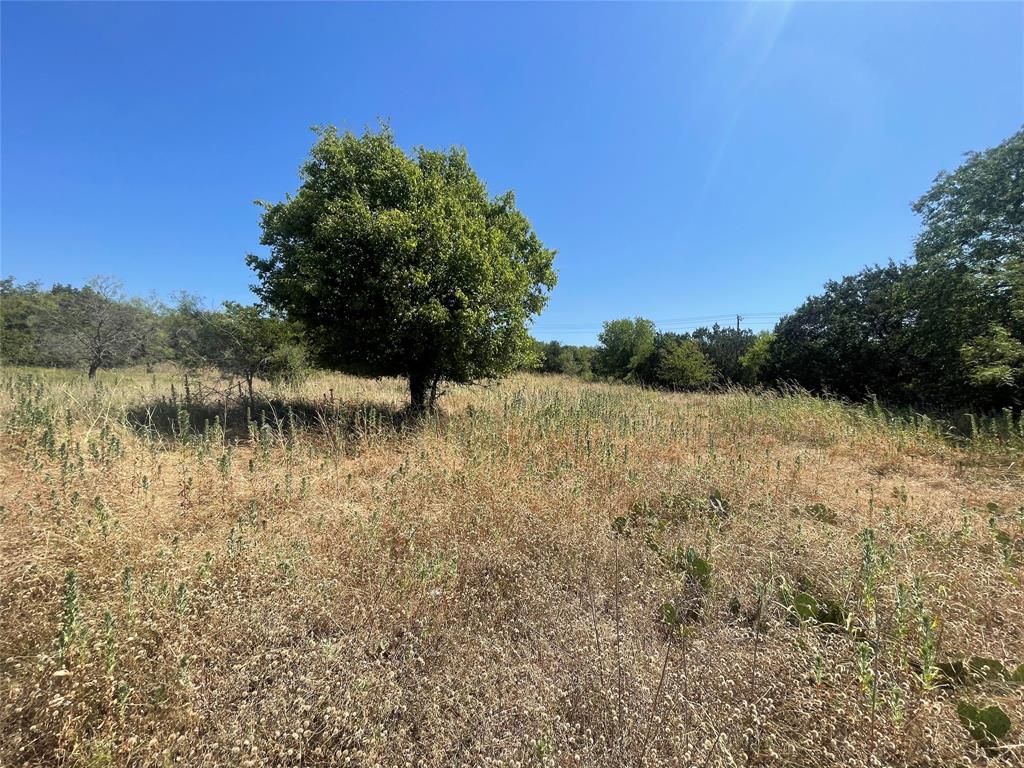 29105 Greenwood Drive Property Photo 5