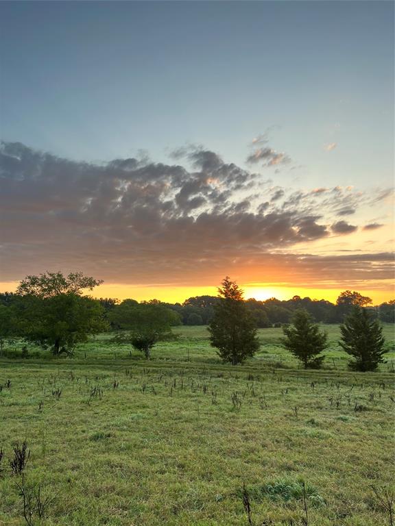 Tbd (lot 7) County Road 4249 Property Photo 7