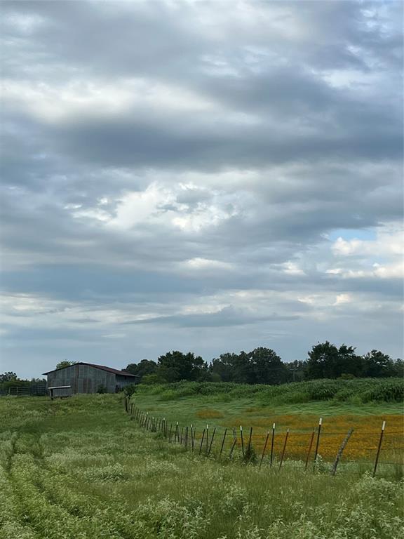 Tbd (lot 7) County Road 4249 Property Photo 10