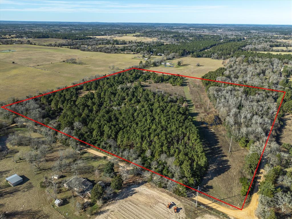 Tbd County Road 1890 Property Photo