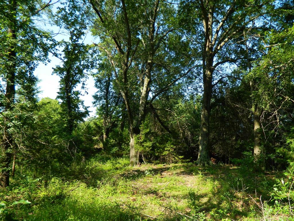 465 County Road 2660 Property Photo 8
