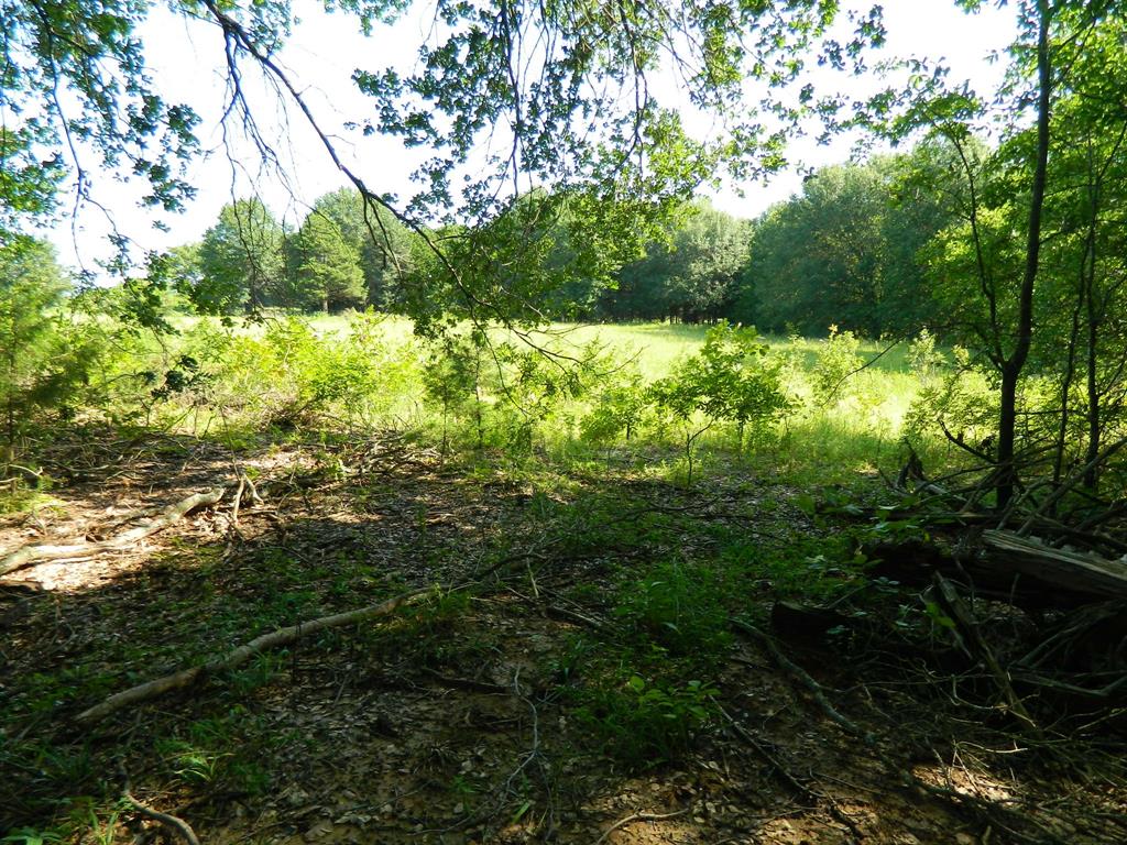 465 County Road 2660 Property Photo 9