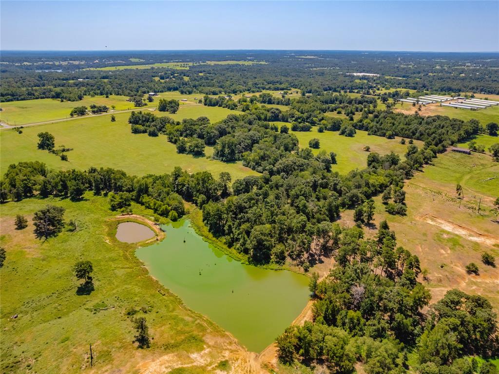 Tbd Fm 3019 Property Photo 6