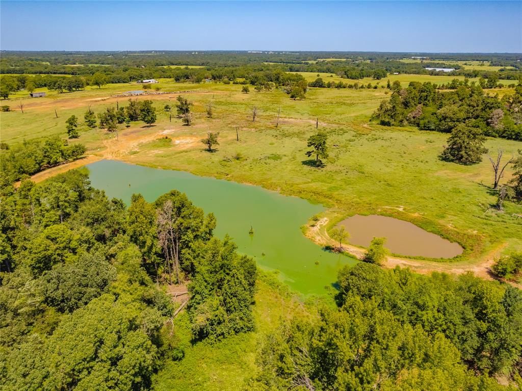 Tbd Fm 3019 Property Photo 10