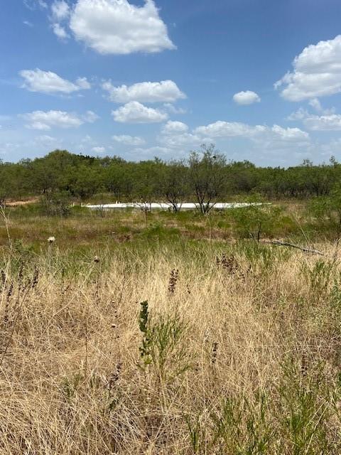Lot 6 County Road 170 Property Photo 1