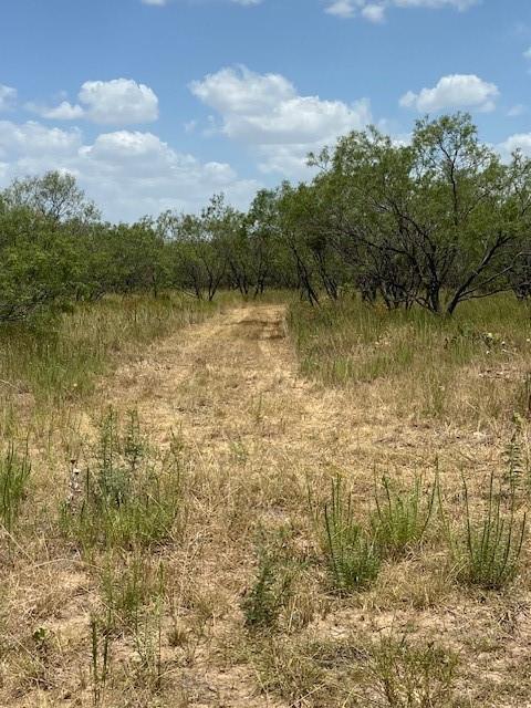 Lot 6 County Road 170 Property Photo 2