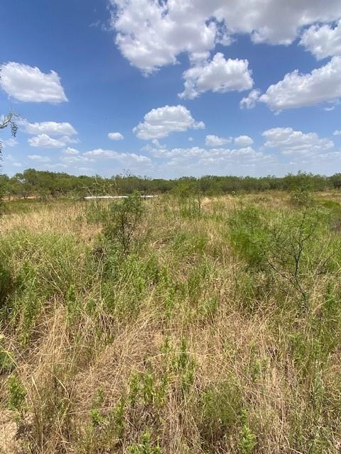Lot 6 County Road 170 Property Photo 4