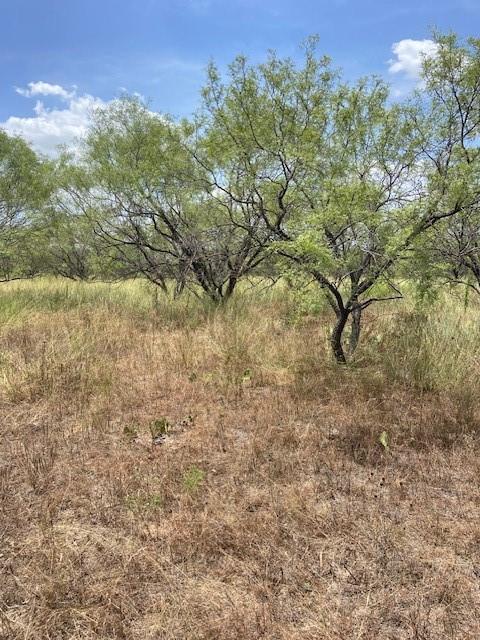 Lot 6 County Road 170 Property Photo 6
