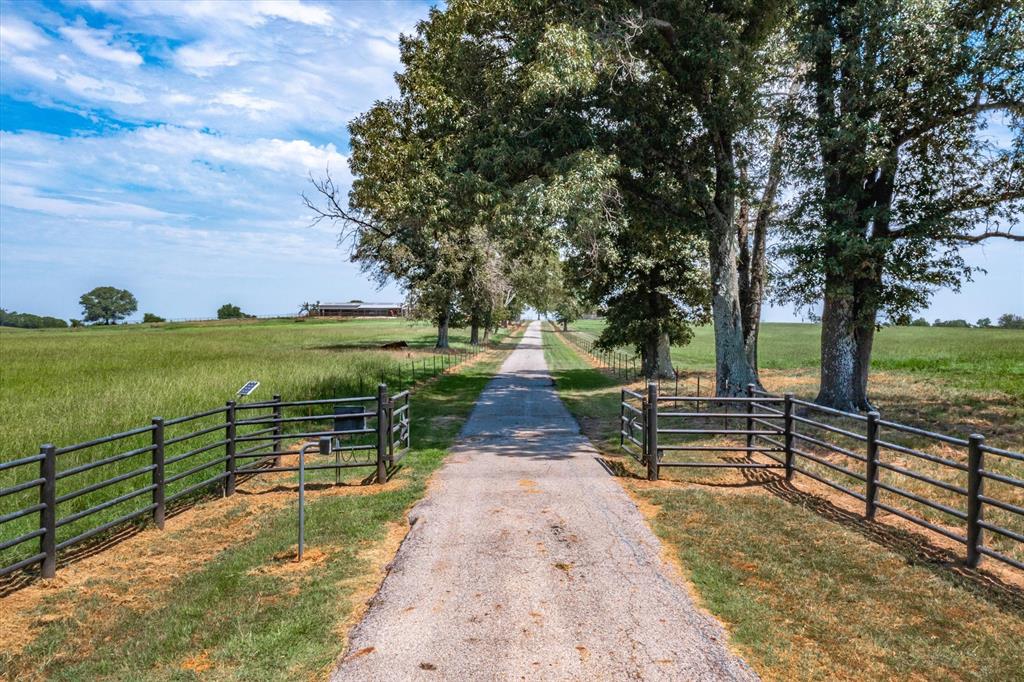 9208 Fm 17 Property Photo 3