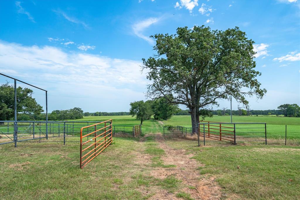 9208 Fm 17 Property Photo 37