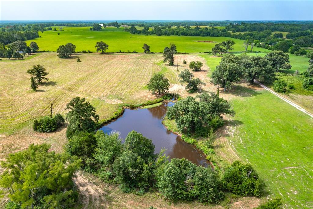 9208 Fm 17 Property Photo 40
