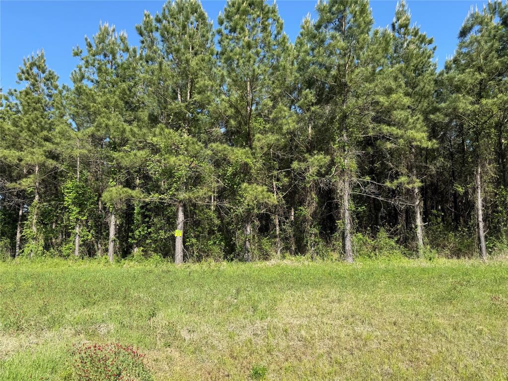 204 Chapel Creek Drive Property Photo 1