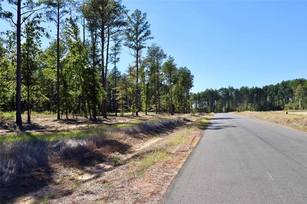 204 Chapel Creek Drive Property Photo 4