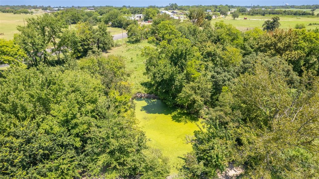 15 Acres Highway 19 Property Photo 28