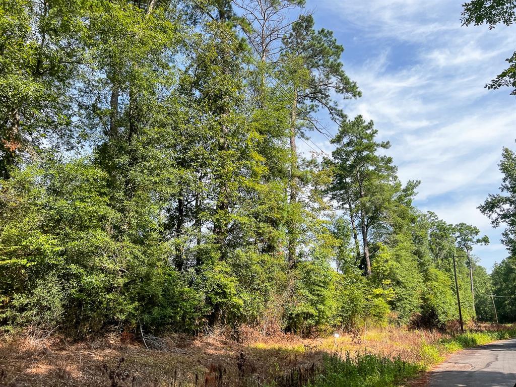 1 County Road 3725 Property Photo 22