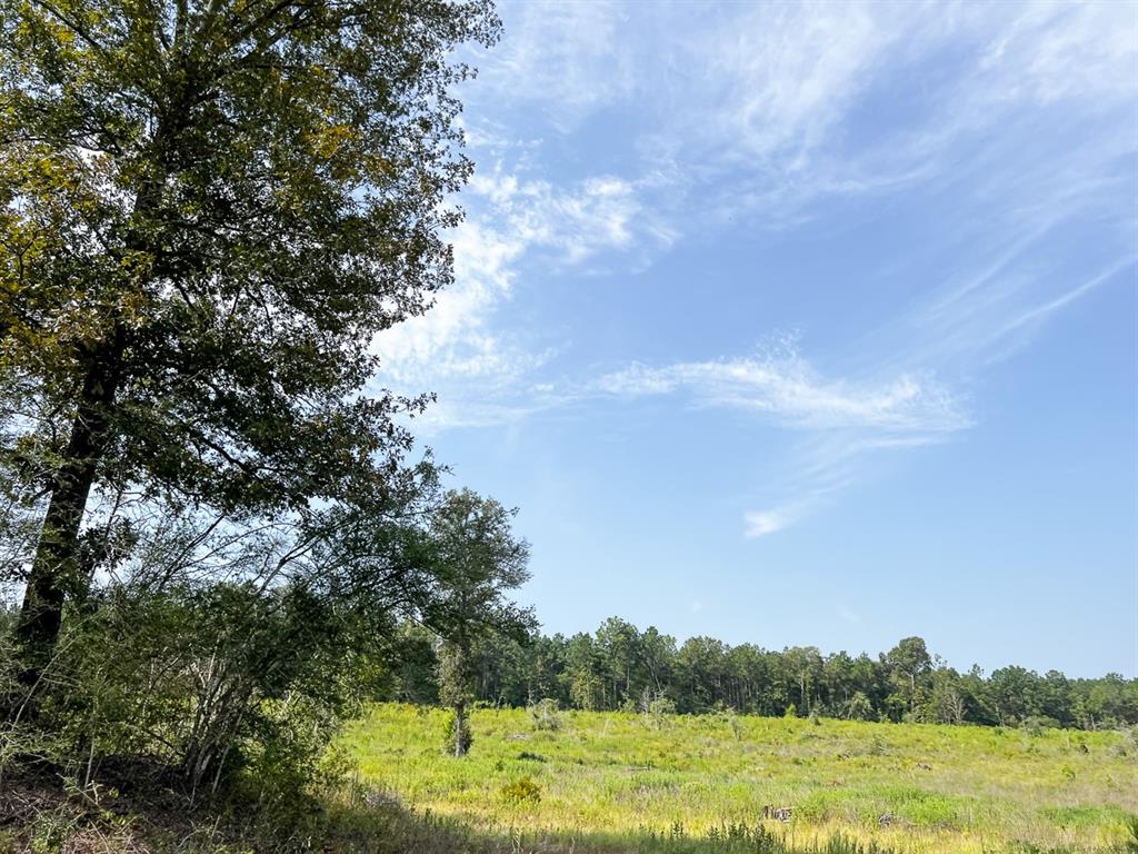 1 County Road 3725 Property Photo 29
