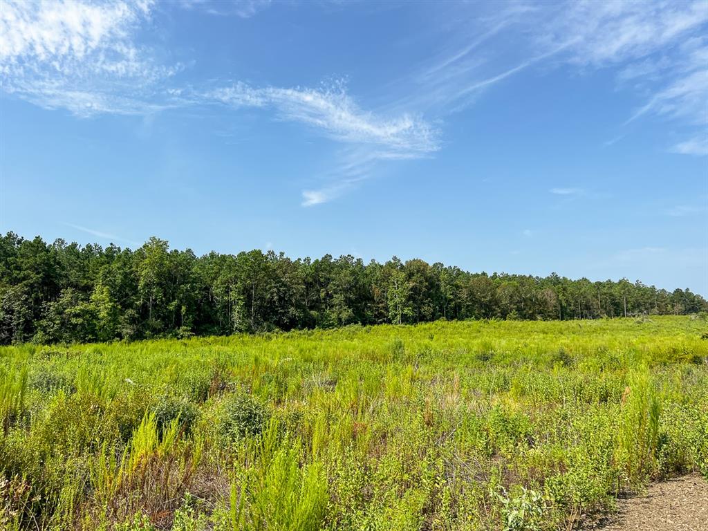 1 County Road 3725 Property Photo 32