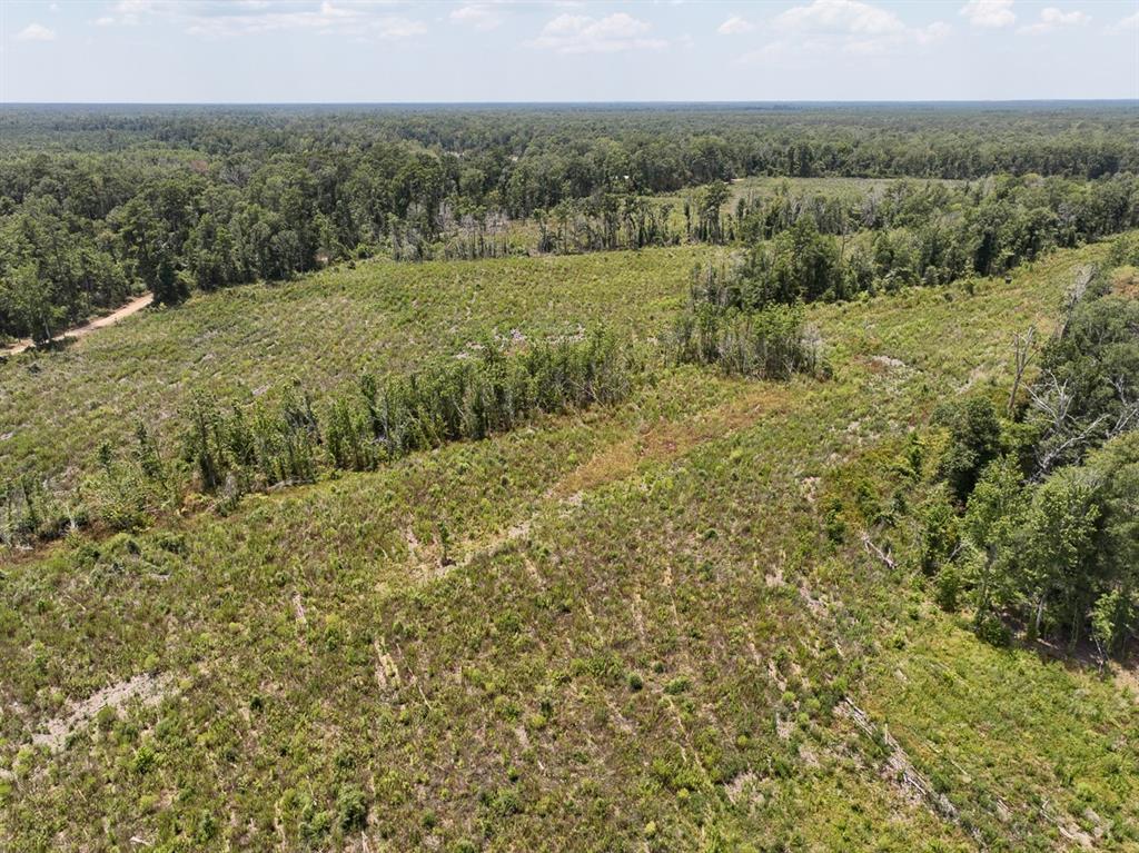 1 County Road 4085 Property Photo 8