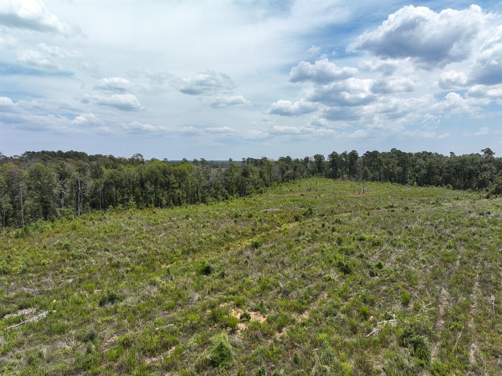 1 County Road 4085 Property Photo 14