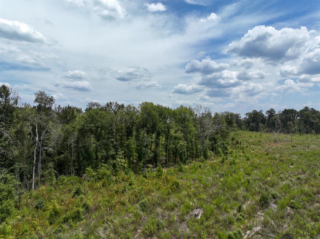 1 County Road 4085 Property Photo 15