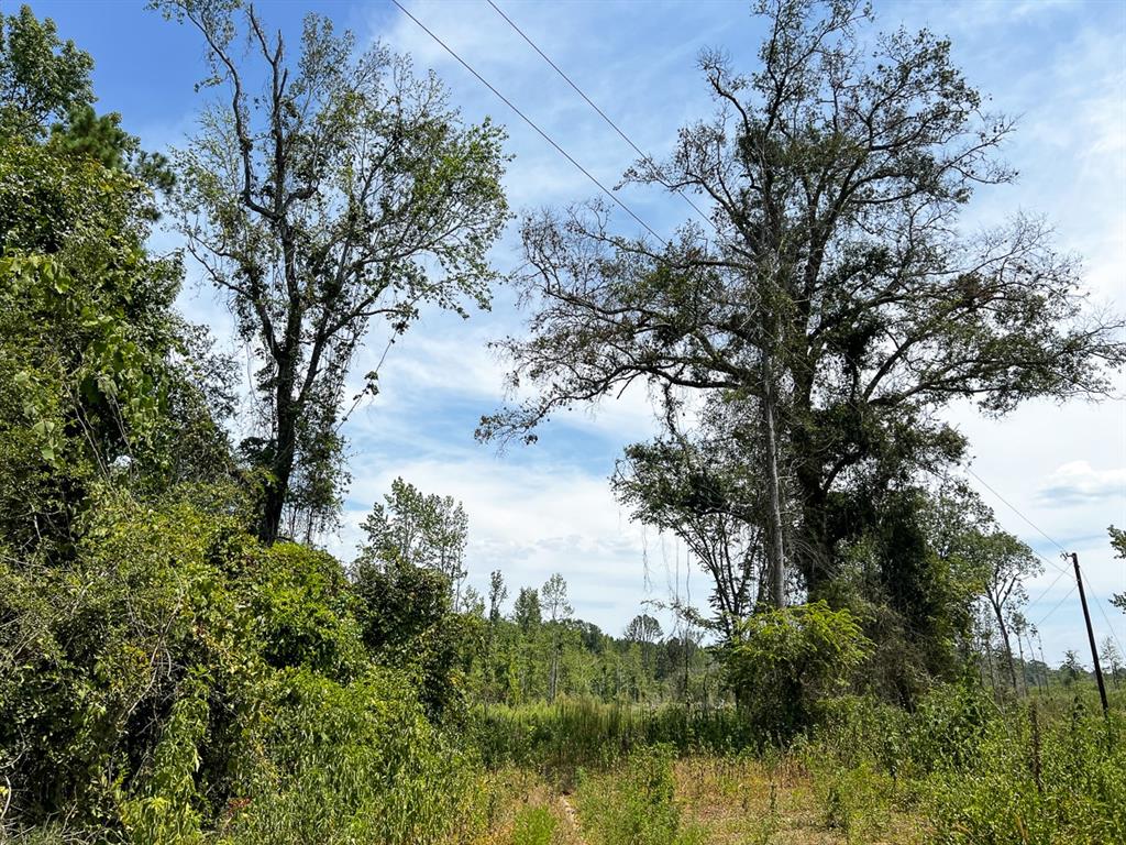 1 County Road 4085 Property Photo 30