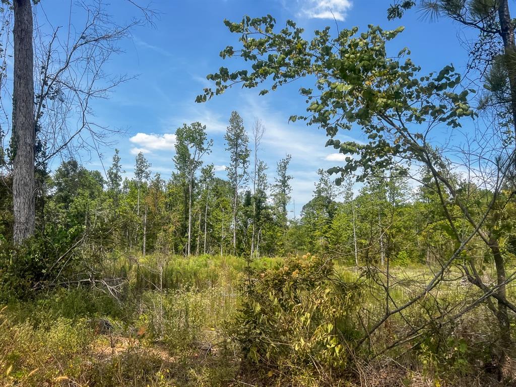 1 County Road 4085 Property Photo 33