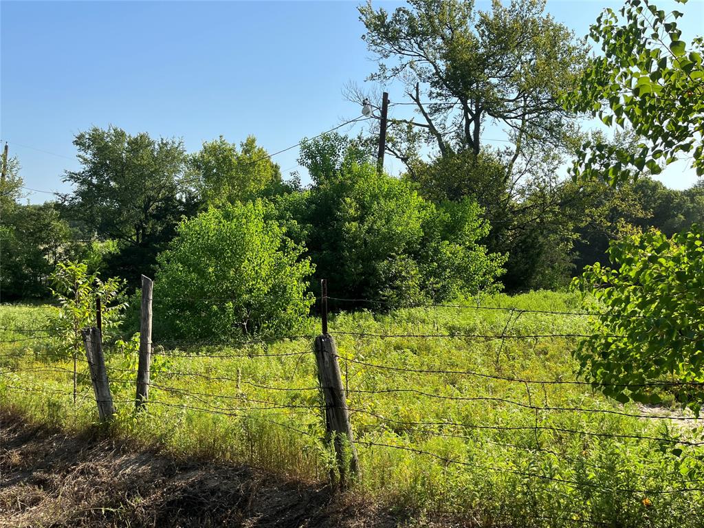 7687 Fm 17 Property Photo 28