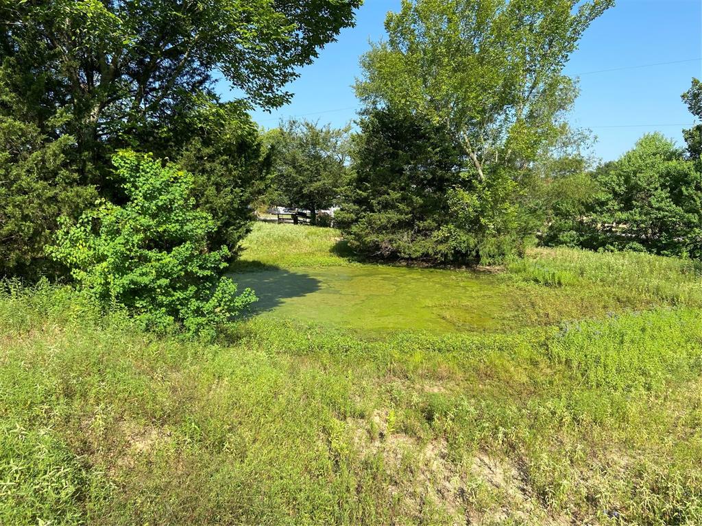 7687 Fm 17 Property Photo 31