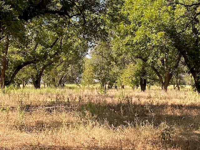 Tbd County Road 461 Property Photo 2