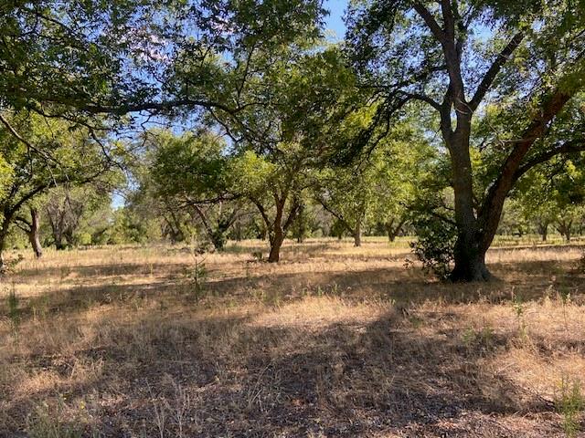 Tbd County Road 461 Property Photo 3