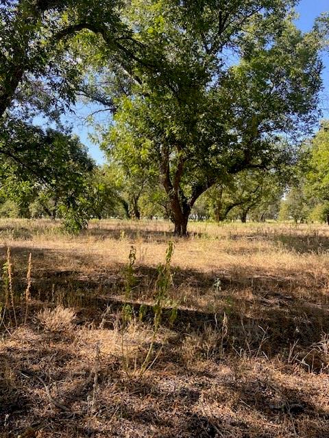 Tbd County Road 461 Property Photo 5