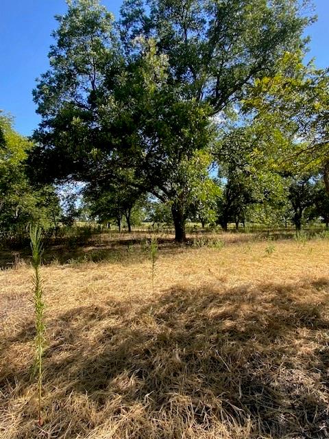 Tbd County Road 461 Property Photo 6