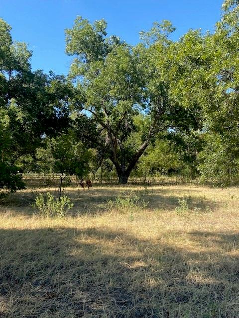 Tbd County Road 461 Property Photo 7