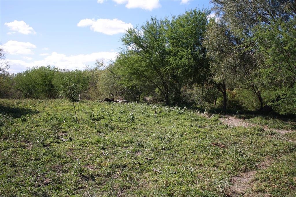 14135 County Road 1144 Property Photo 5