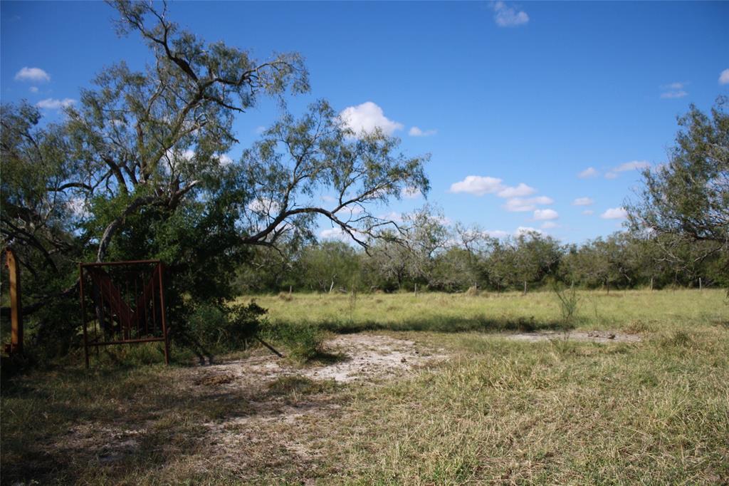 14135 County Road 1144 Property Photo 6