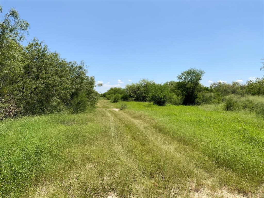 14135 County Road 1144 Property Photo 13