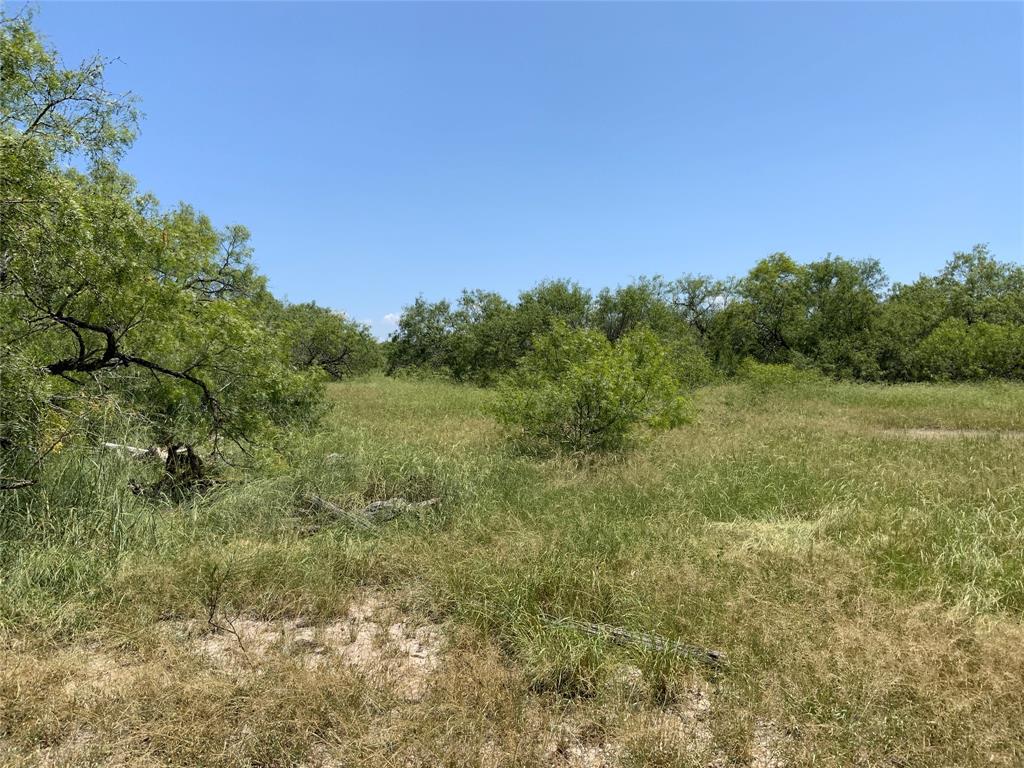 14135 County Road 1144 Property Photo 14