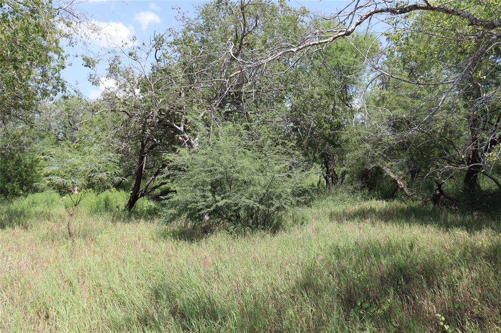 14135 County Road 1144 Property Photo 15