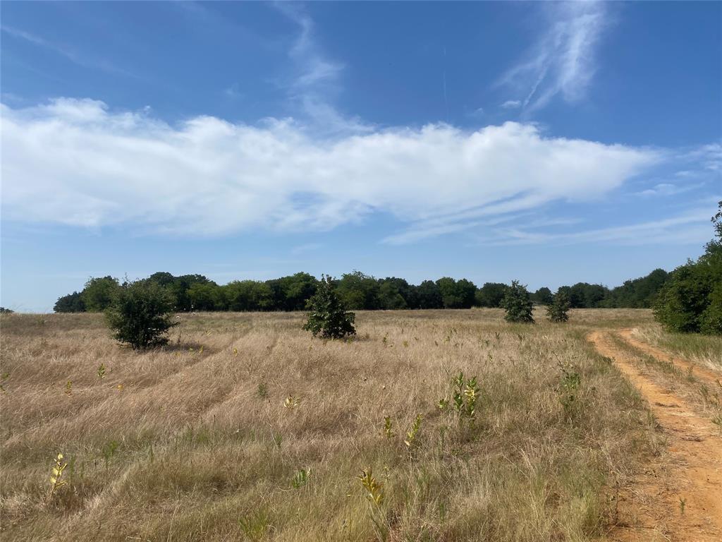 7832 Greenfield Drive Property Photo 8