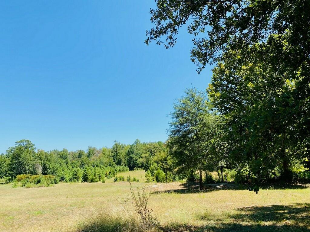 13701 N Us Highway 79 Highway Property Photo 2
