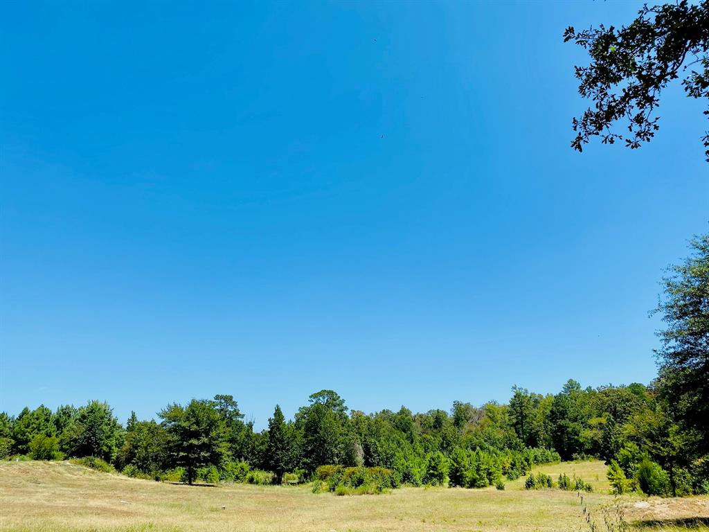 13701 N Us Highway 79 Highway Property Photo 3