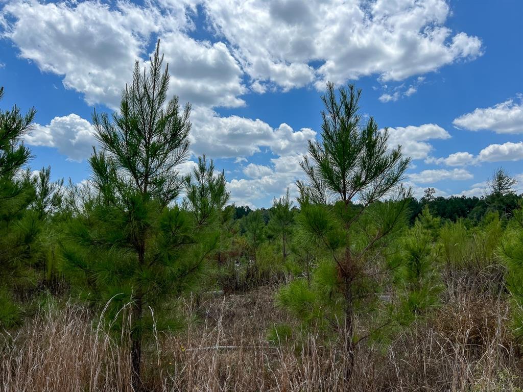 0 Us 69 Property Photo 11